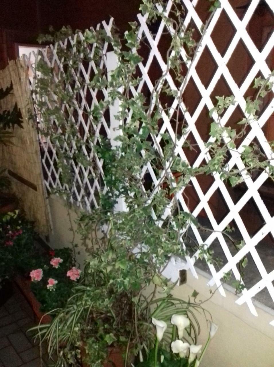 La Terrazza Di Dante Bed & Breakfast Naples Exterior photo